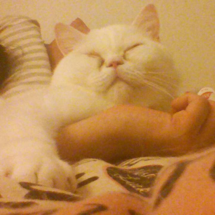 331552e4 f50e 4050 8d21 3565a9800c48