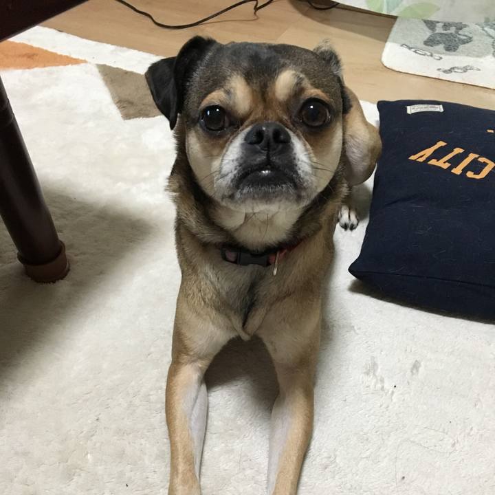 331592e6 be87 419e 96ab 2367e9946e4b