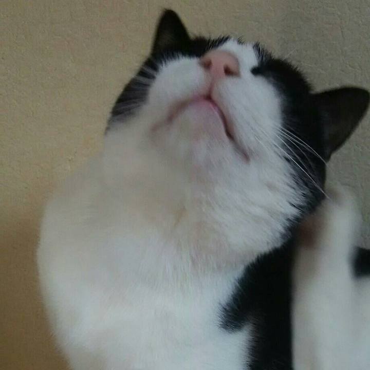 3315e356 1dd9 48a6 bc5e ca8dba22a032