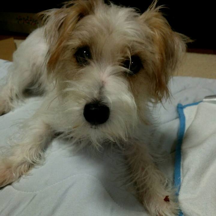 33165f47 ee6e 47d4 b7ae 04099139c269