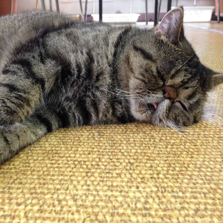 3316b8c8 3b13 4a55 b9fb 3f513846ea0a