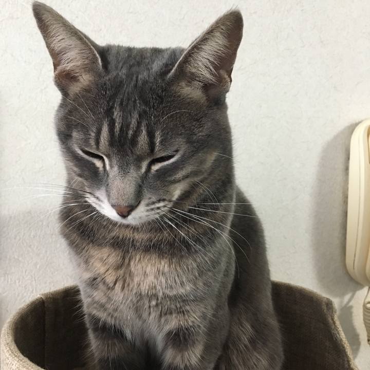 3316e3fa acce 4304 97bd 758857314a69