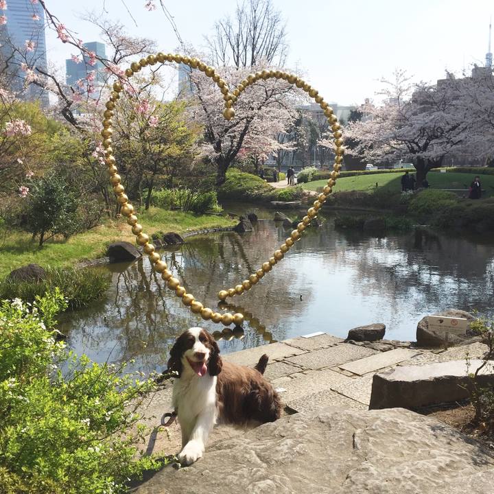 33170056 daee 4c23 b9cc 53355fa74b1a