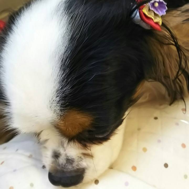 33172fa2 252b 4e62 824d d4db9b893102