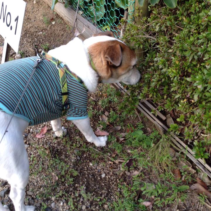 33178341 15c6 463b 9ba8 be8418fc9d2c