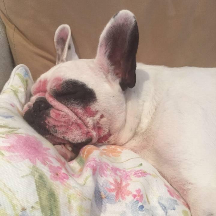 33181c24 40b2 46bd 9511 c6137ec7856f