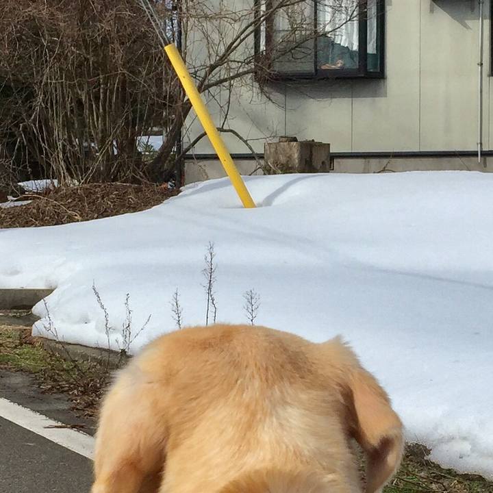 33184718 ee59 481e 9245 b942f1710b21