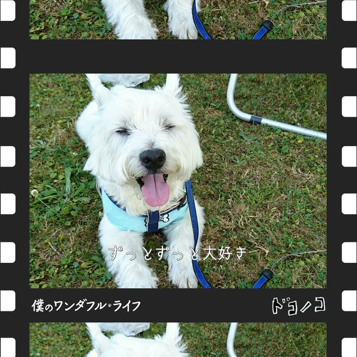 33199b08 07ad 4644 bb43 6e817e70e4f3