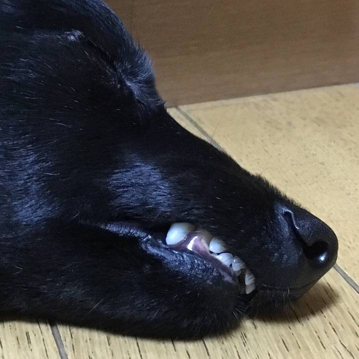 331a3970 1647 403d 9cbc 56e4f1711937