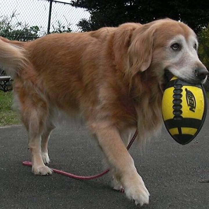 331a9224 beda 4868 b6af ce168d852806