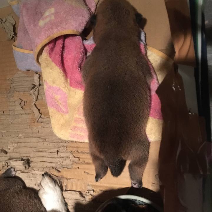 331aa33d 9932 4735 8902 383dfd0c39fe