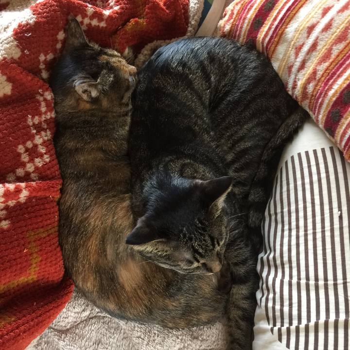 331afc7e 70ab 4270 8ed3 8f4ee4f3c51c