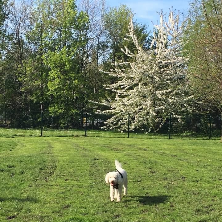 331b1ba9 2032 4289 ab8f 48f8bf8bfded