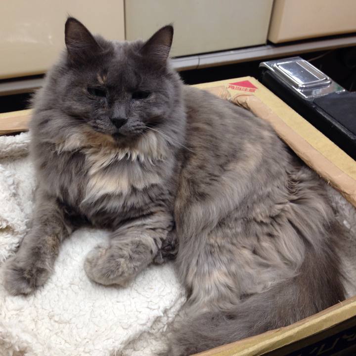 331b6d92 d06a 4e33 a8ab 808346ff46a7