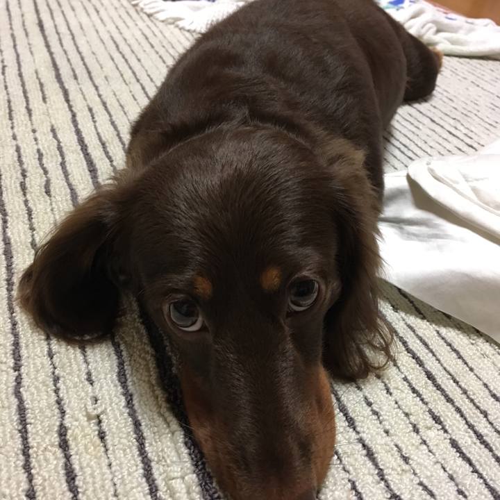 331b8521 1825 4adc 92ba ec05c08fc5c5