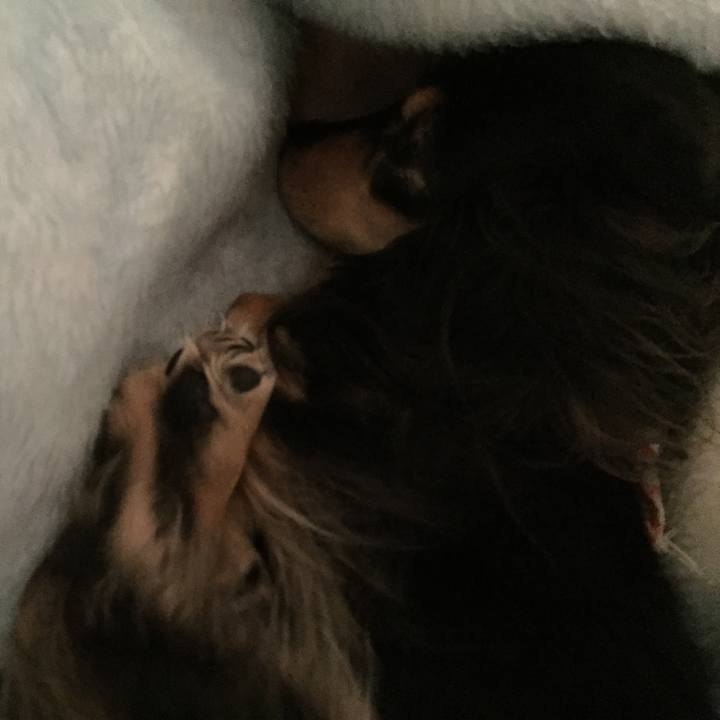 331bee5c 9724 44f0 9af8 8a03bc4189af