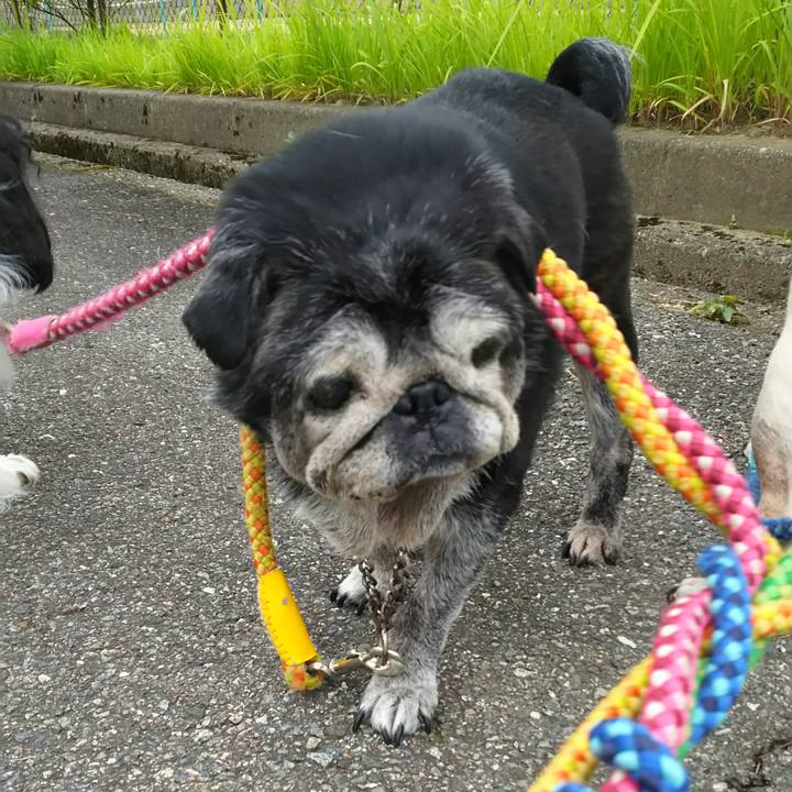 331c29b6 c888 45ef bda9 1c9e0999de52