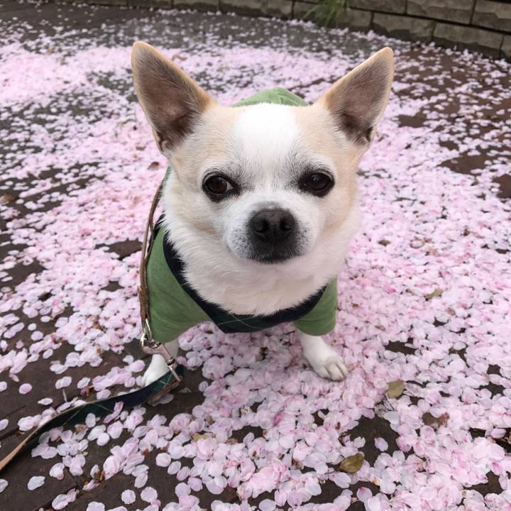 331c51ff 1d5a 4ec9 99fe d62356afc954