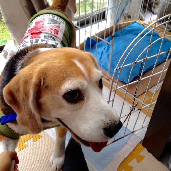 331c5b34 a06a 4cea 855a 7ce43c10ebea