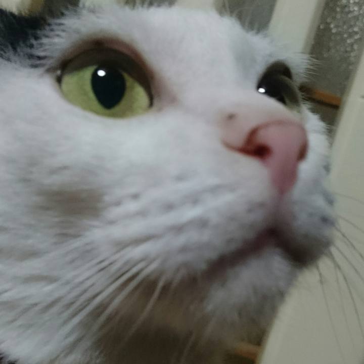 331c87c2 eb01 40e5 bb78 56dd5dbf882b