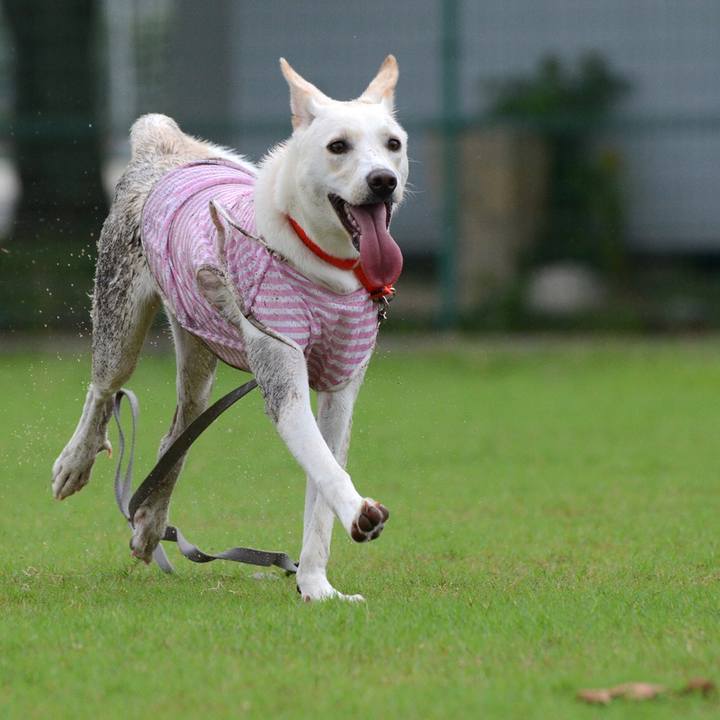 331c9efc 6c30 4dc3 b1b9 09af6f63bf8c