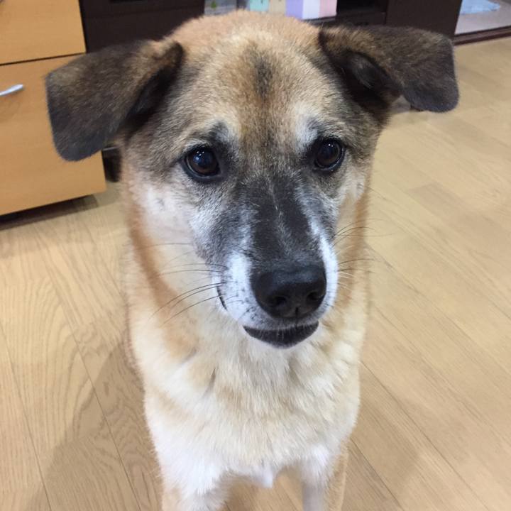 331cf382 15de 4fd8 984b bef8597cfe56