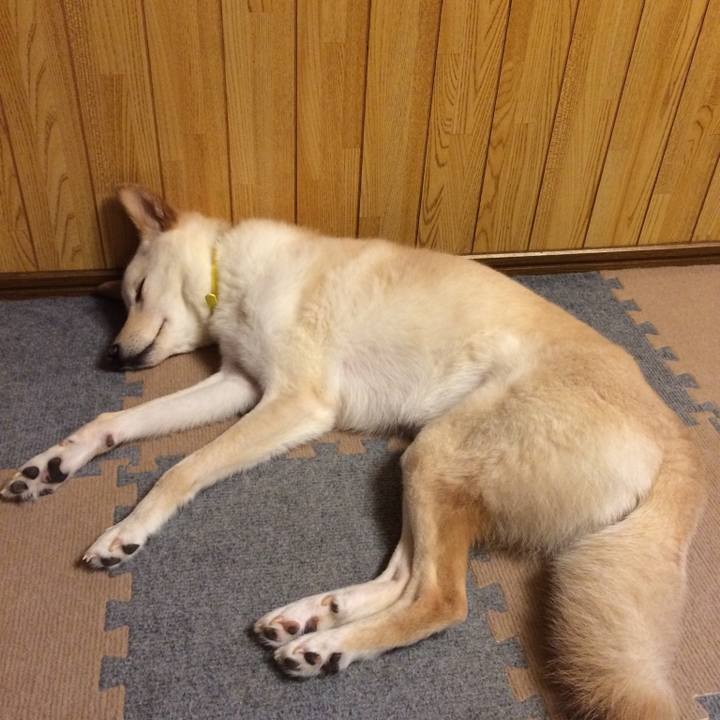 331d1266 28ac 4fb1 bd0f e201499fa35d