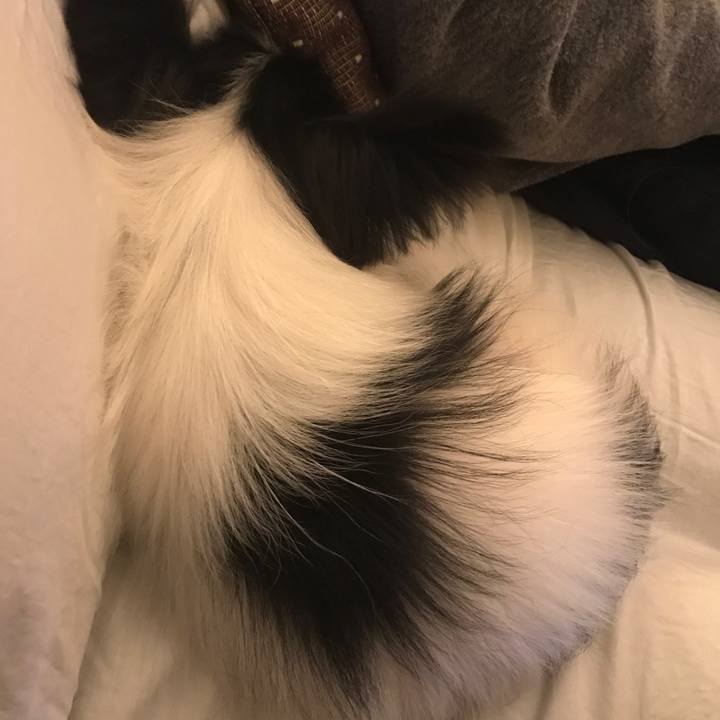 331d7ed1 ccbc 414d 8f53 ec5ea701295f