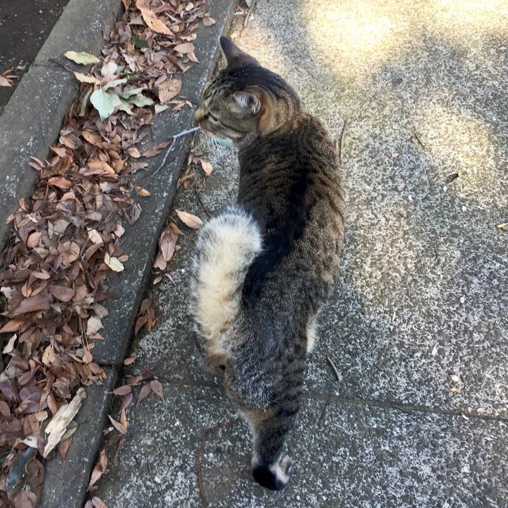 331def1e e42c 4d0a ac32 cd5973c4c011