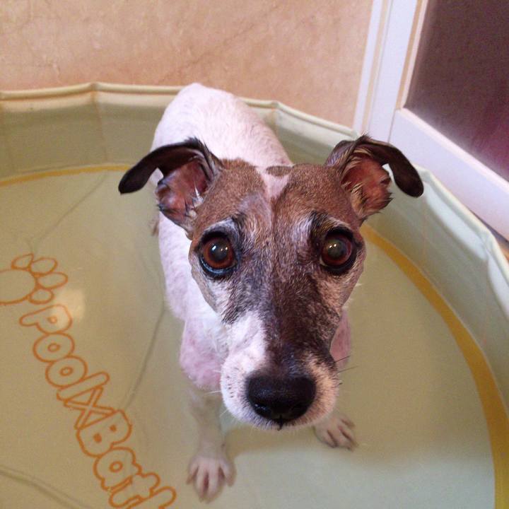 331e19e1 2c6c 426f a7f8 4885ee7a7b1b