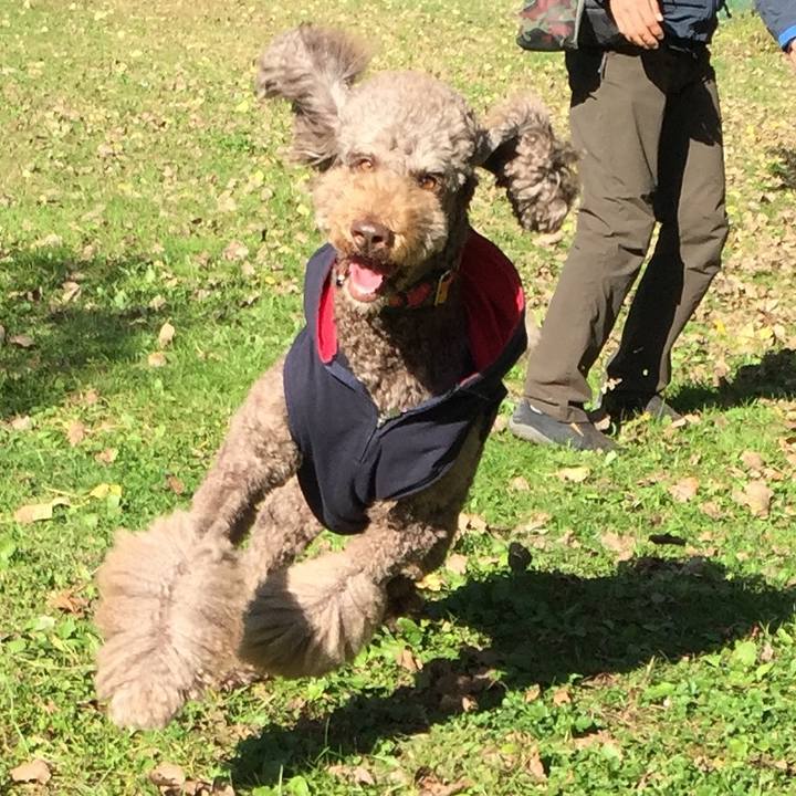 331f0f90 b2e8 4d25 b5e6 bbdcb85eecfb