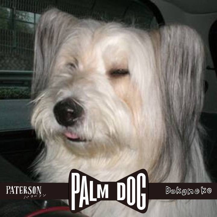 331f38b8 b56e 4398 b677 e5dea3628c72