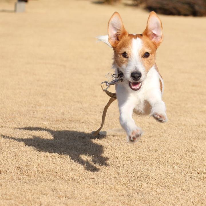 331f4864 c9dc 495a bb78 d585129a1c7e