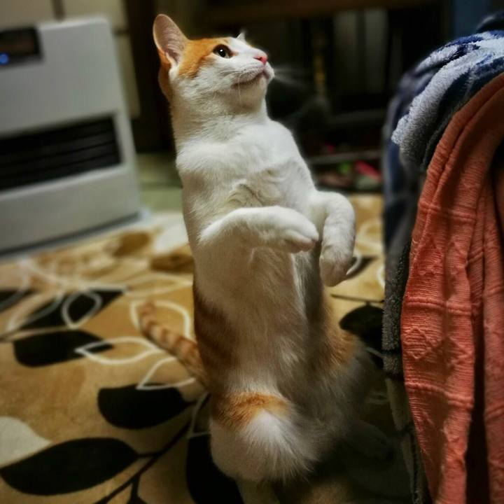 331fc0c2 2c33 4ab1 b840 e122a3604316