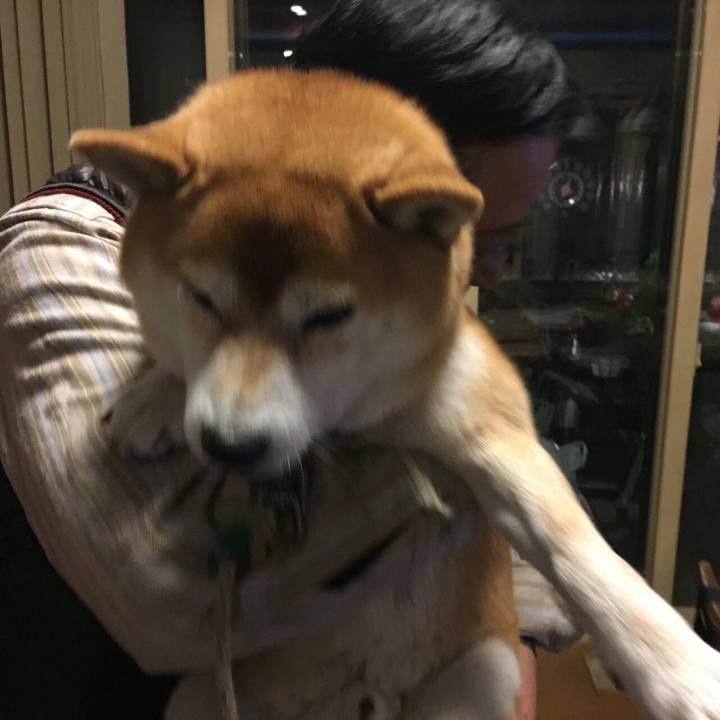 331ffc03 ed0d 43e0 883a aaea8e4e1e3b