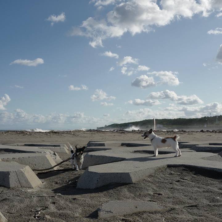 3320b1db 2f88 4322 aeed e807d37cba06