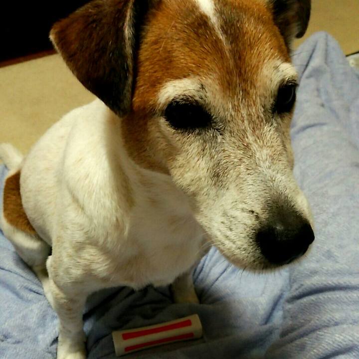 3320b4db e655 4017 bff2 8ea6512197e8