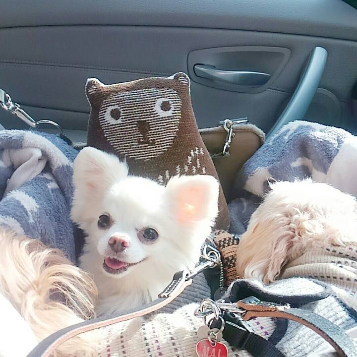 3320cb27 ee5e 443f aedb 3d6bf7cc321f