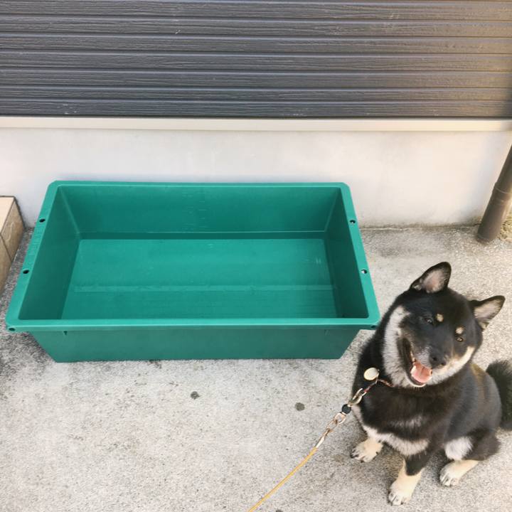 332143f7 bb0d 4cb1 8bf9 66e4a254abe0