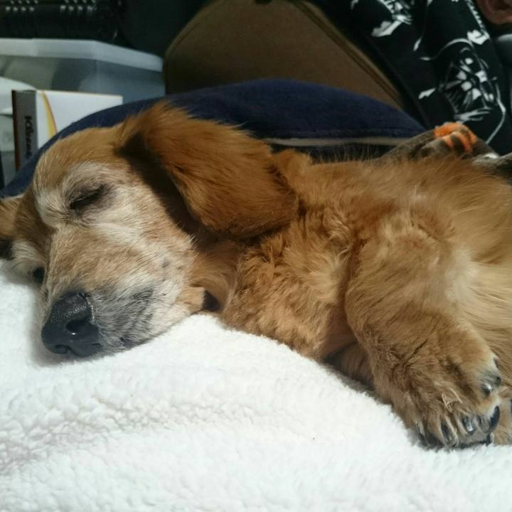 33218751 1467 4898 9d31 de065937b7c7