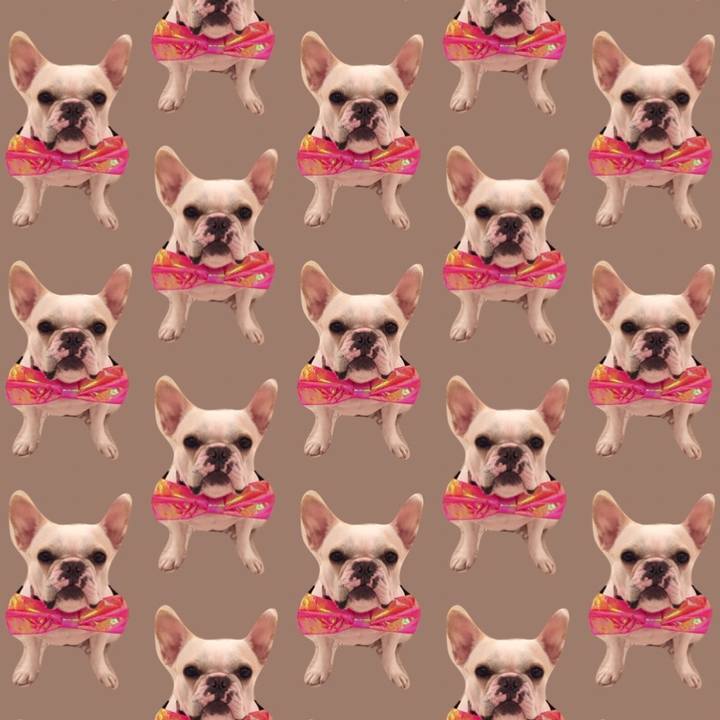 33226b01 5c40 4d90 a891 d87db2a82b94