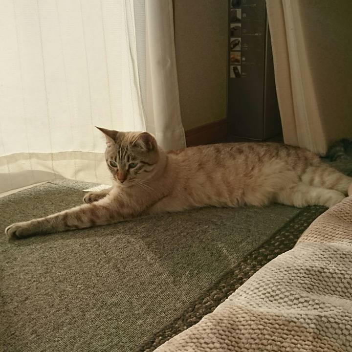 3323b2e2 8f15 4ded ad41 bff39928714a