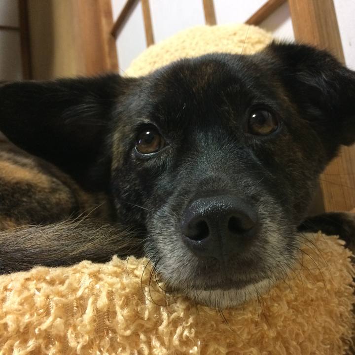 3324d6de acdb 4a71 bb23 f25561280b1f