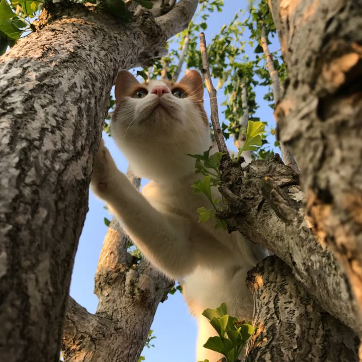 3324dd89 fbc8 4291 bd35 2a6e692dbfe2