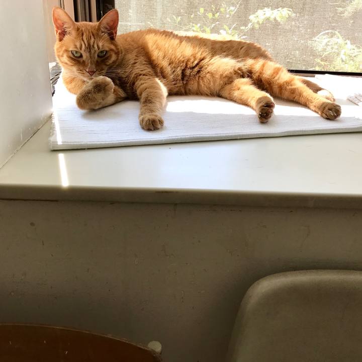 33250753 26b5 418a 8d87 e2a6930961d3