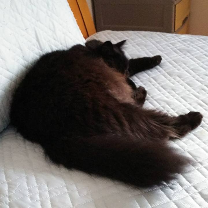 33251eb3 0180 4149 ac52 4eb529bd75f4