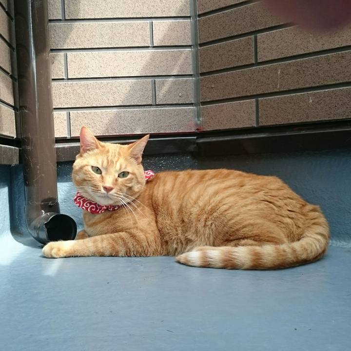 3325337f 7080 492c a7f9 f69656f1e9be