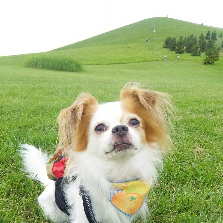 3325f188 de50 4102 a85d 6beba0622349