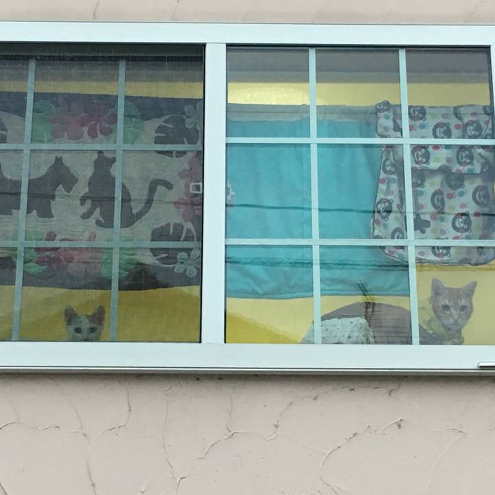 332627cc c160 4fdc 8880 cde4ddad152f