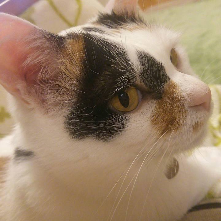 332670c9 393b 4851 9b69 3fd631f16184